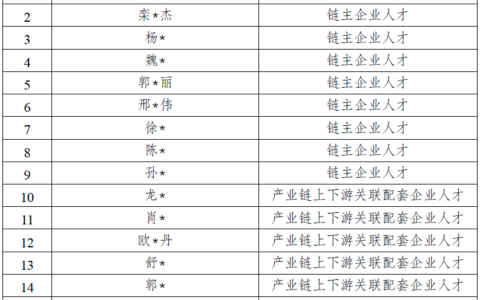 2025年“蓉漂人才锦鲤计划”“蓉城英才锦程计划”平台经济产业人才评选结果公示